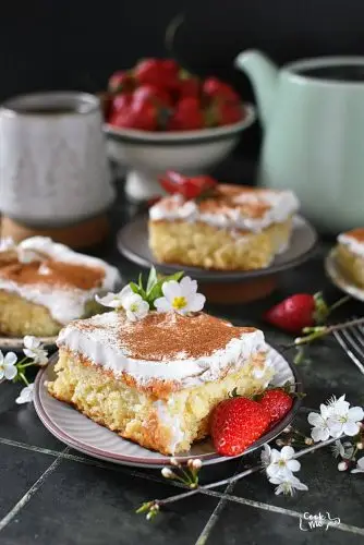 Tres Leches Cake