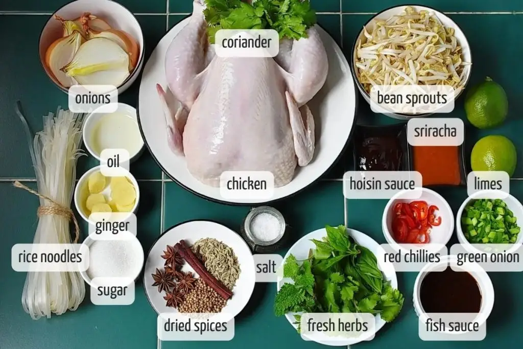 Ingredients for Vietnamese Pho Ga Soup