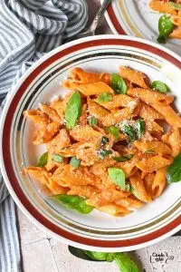 Penne Alla Vodka (Vodka Pasta Recipe)